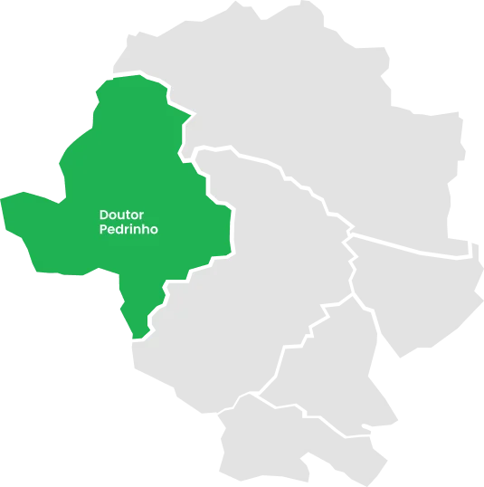 Representatividade  Regional